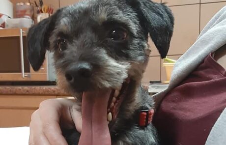 149982053_143182790965588_4911908532138255075_o