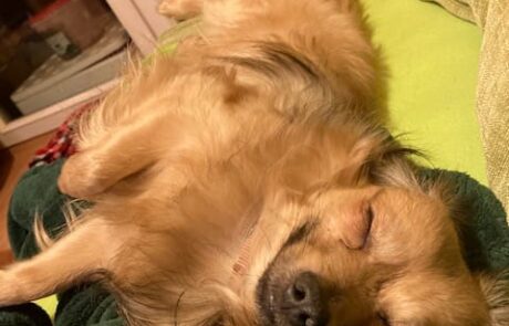 150908835_2341952215936629_1906444602724325775_n