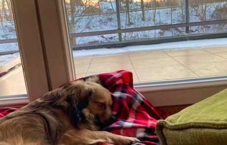 150970950_2341952142603303_8124496764788910430_n