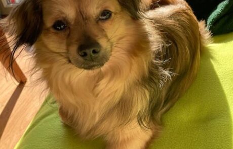 151061750_2341951972603320_3503188422368333197_n