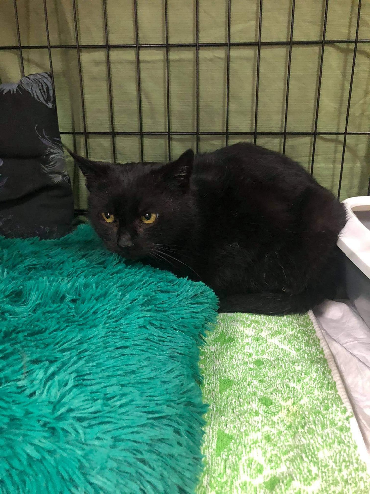 151608452_1144979965921867_7795461216408265587_o