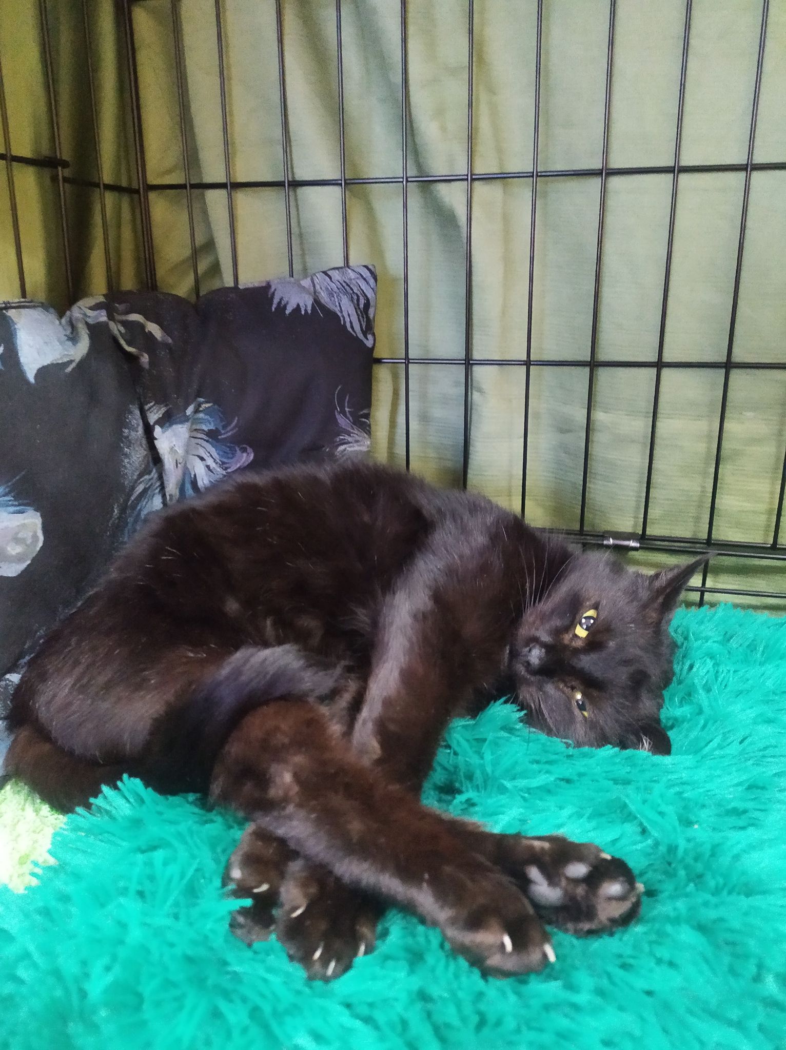 152337170_148006230491951_3371079886864132854_n