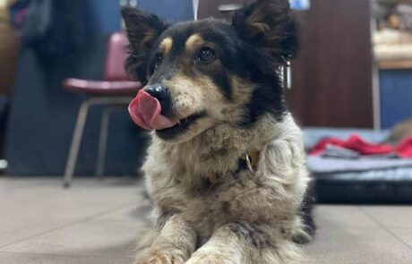 156213910_152860986664435_3910773972276210382_n