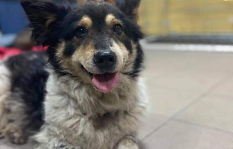 156217147_152860936664440_6235287159064123406_n