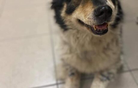 156224523_152861009997766_2284288228186774883_n