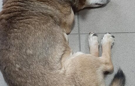 172191631_176064511010749_886690036745055752_n