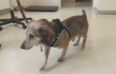 174227798_178530487430818_8629267778908696999_n