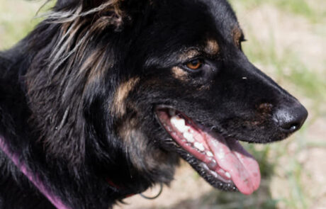 184112580_193248769292323_460866173209625416_n