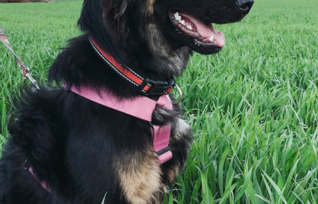 184300228_193248682625665_5723723839824762103_n