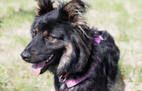 184779611_193248892625644_4533959539135781065_n