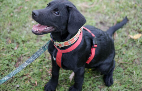 218609235_234464245170775_8687220921961357585_n