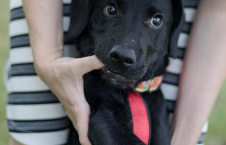 218634155_234464285170771_5264601598556847350_n