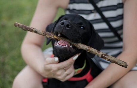 219174054_234464328504100_1103797245361023215_n